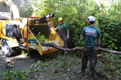 tree services Le Claire